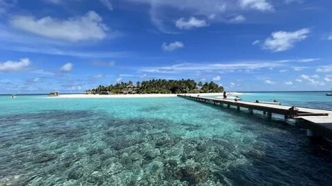 Pristine Maldives Beach Setup
